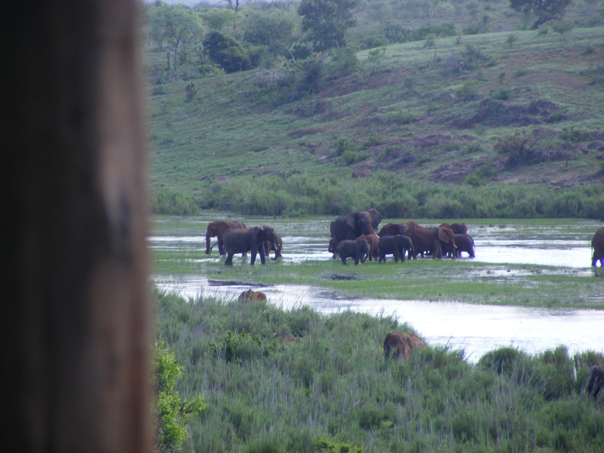 Elephant Walk Retreat Komatipoort Buitenkant foto